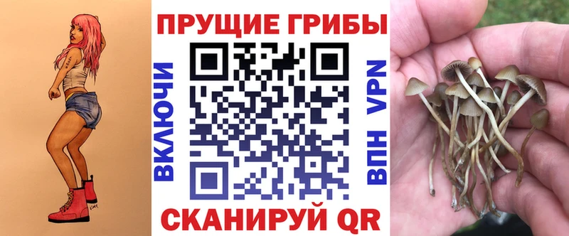Галлюциногенные грибы Psilocybe Симферополь